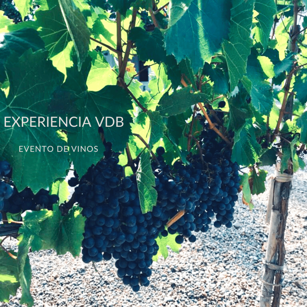 Lee más sobre el artículo ~Cumple Graciela~