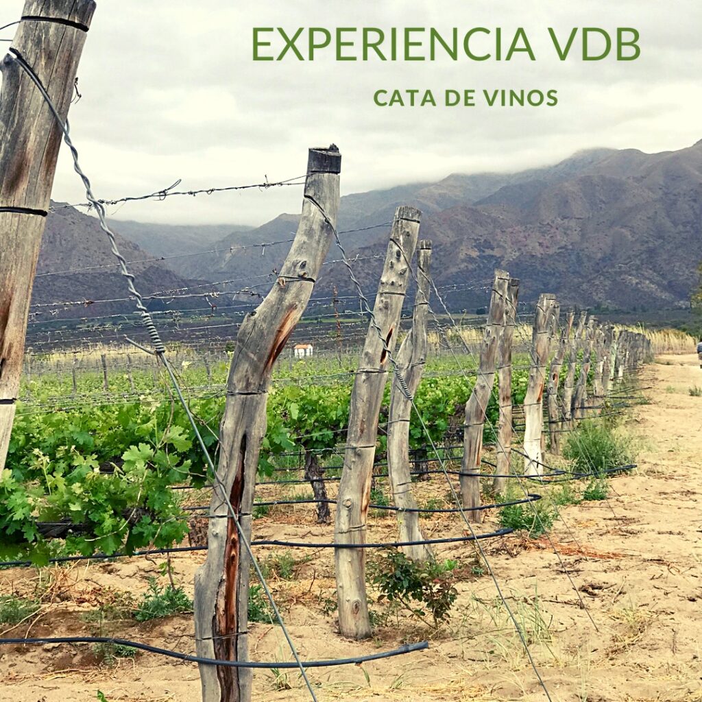 Lee más sobre el artículo ~Ancellotta~