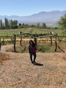 Lee más sobre el artículo EVDB en Salta ~ Cafayate ~ Día 2 ~