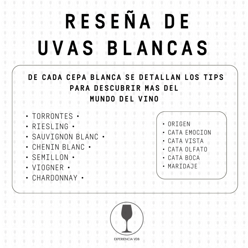 Lee más sobre el artículo EVDB ~Blancas~