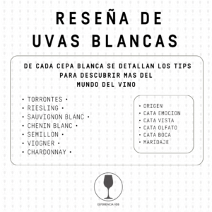 Lee más sobre el artículo EVDB ~Blancas~