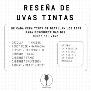 Lee más sobre el artículo EVDB ~Tintas~